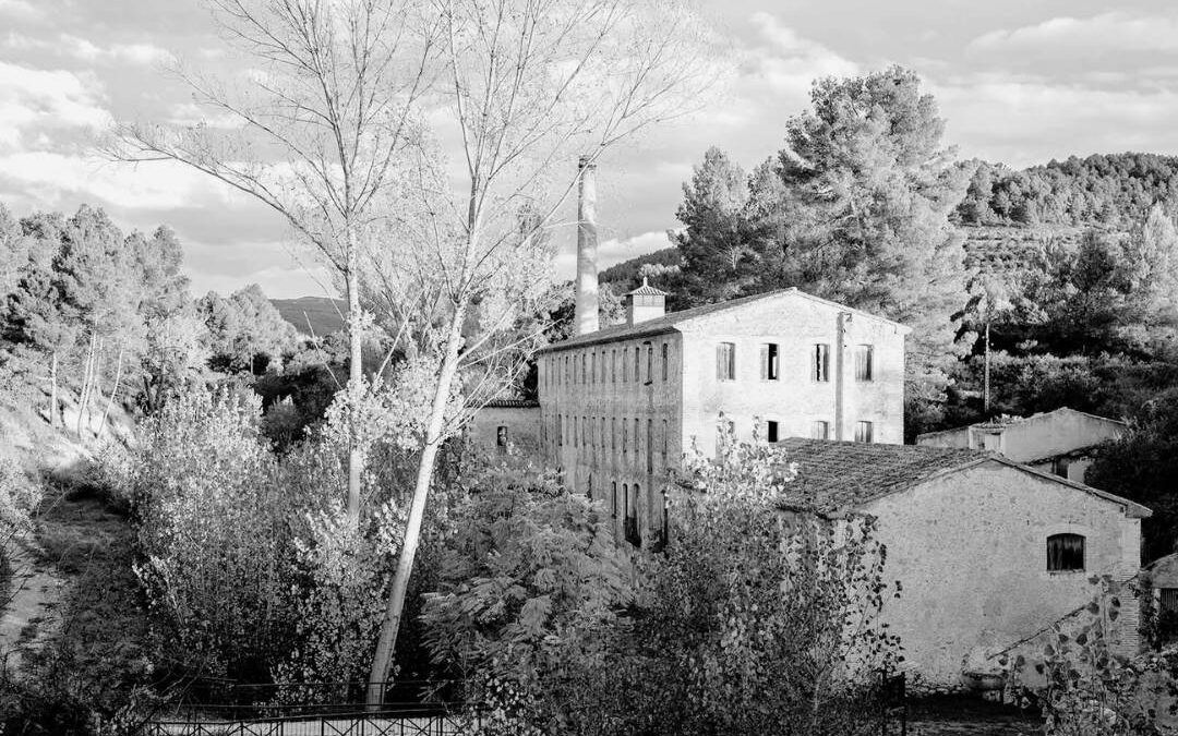 Què és l’herbero i quina és la seua història?